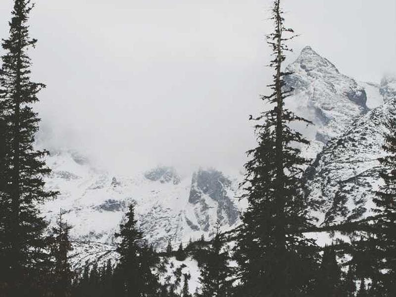 Top 5 Revenue Mistakes Clinics Make-and How to Avoid Them